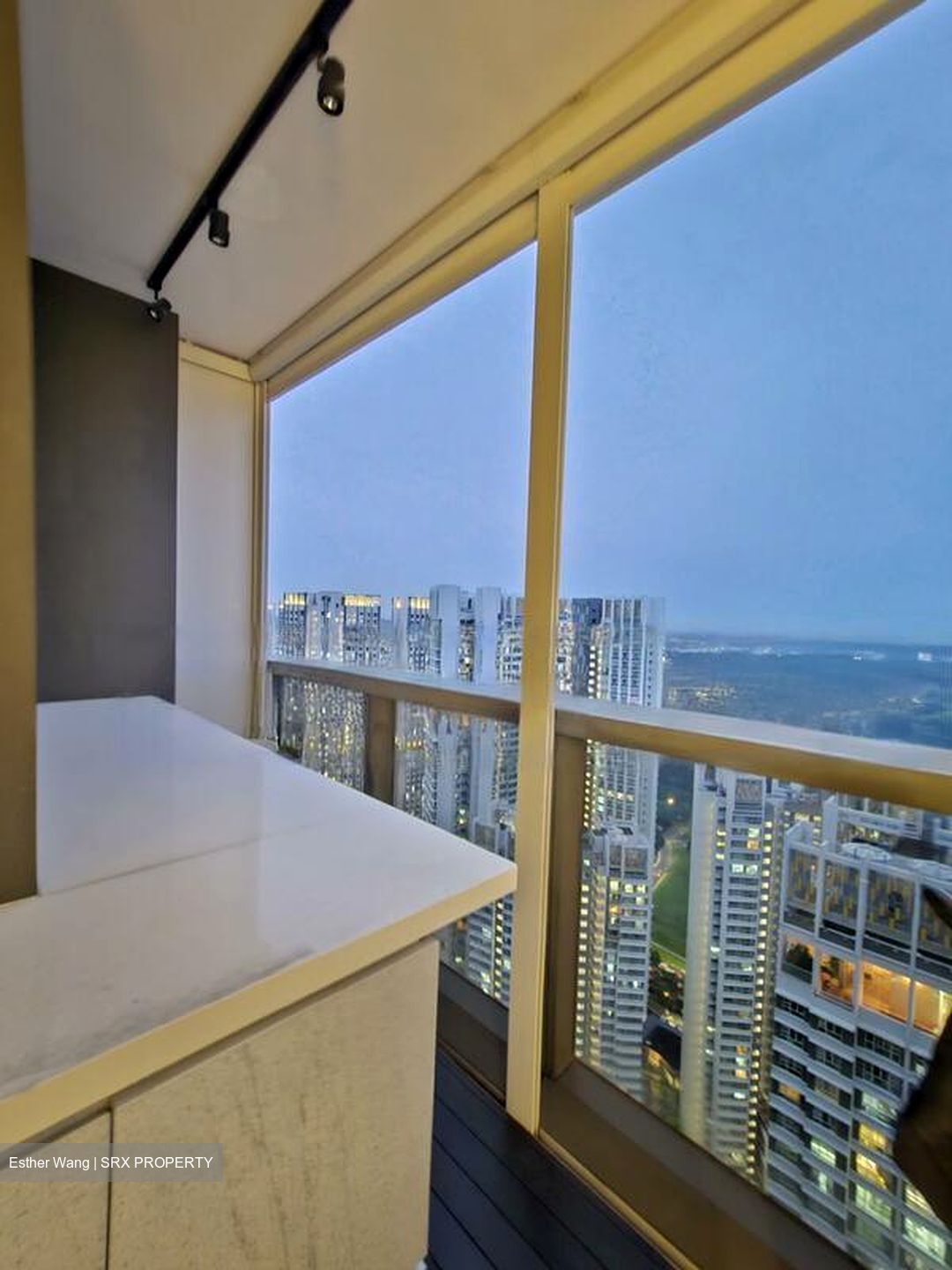 Commonwealth Towers (D3), Condominium #451404571
